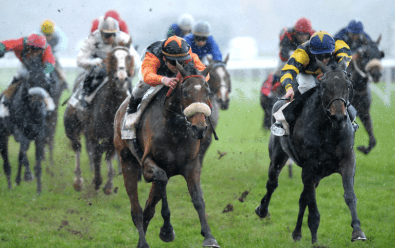 How Weather Conditions Affect Horse Racing Performance