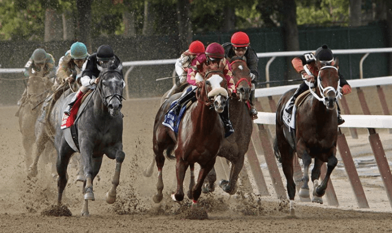 The Controversy Surrounding Horse Racing: What Are the Biggest Issues?