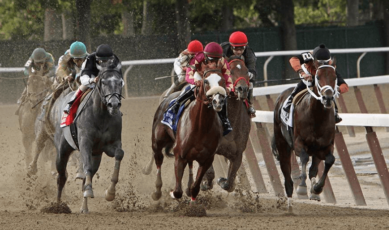 The Controversy Surrounding Horse Racing: What Are the Biggest Issues?
