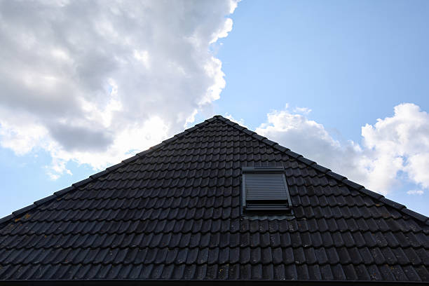 How Pitched Roof Light Windows Transform Modern Homes