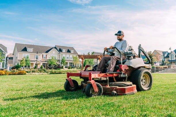 How Can Landscaping Increase the Value of Your Property?