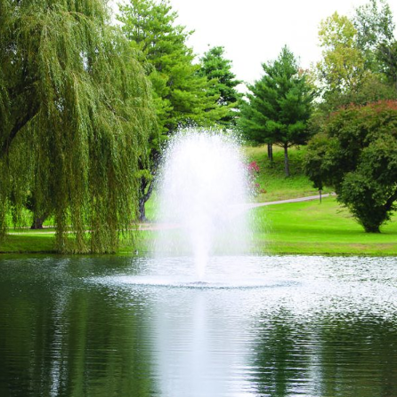 Large Pond Fountains Bring Daytime Beauty and Evening Ambience to Outdoor Spaces
